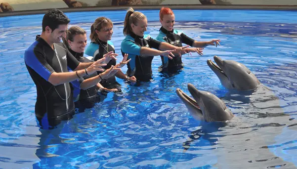 Encuentro con delfines Aqualand Costa Adeje