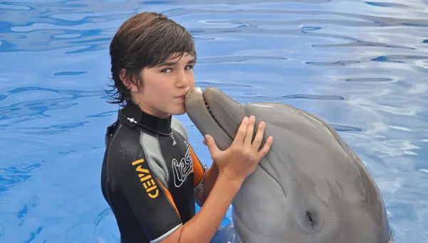 Encuentro con delfines Aqualand Costa Adeje